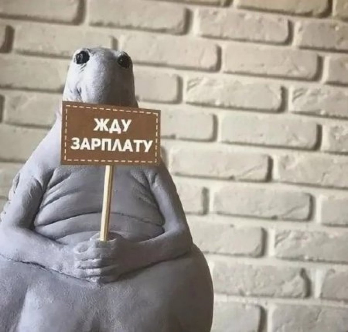 Ждун в ожидании зарплаты