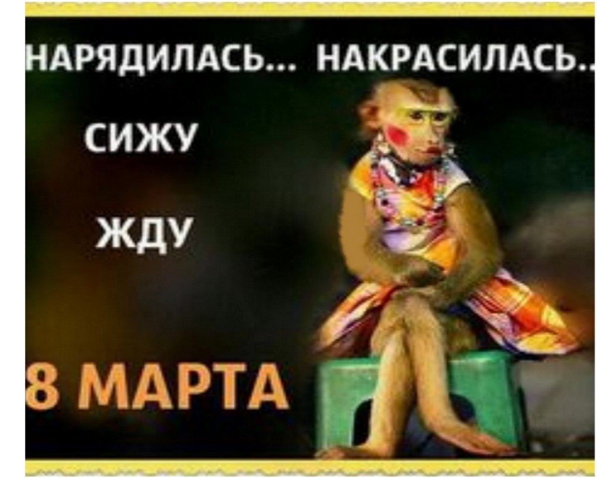 Нарядилась жду 8 марта обезьяна