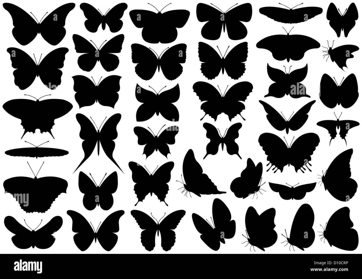 Трафарет бабочки на стену