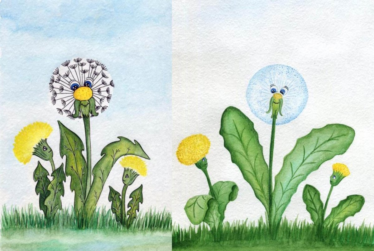 Рисование одуванчик