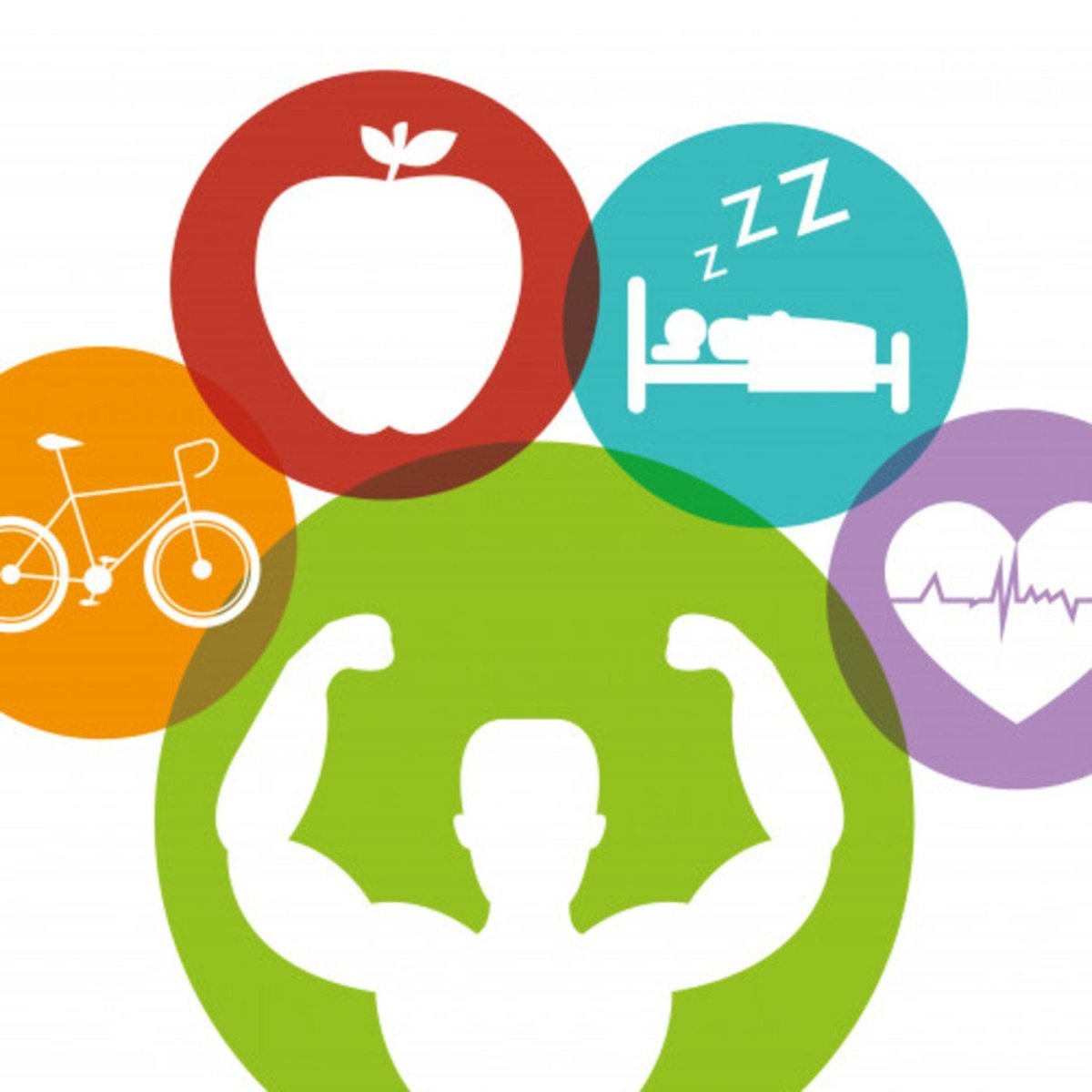 ЗОЖ на белом фоне