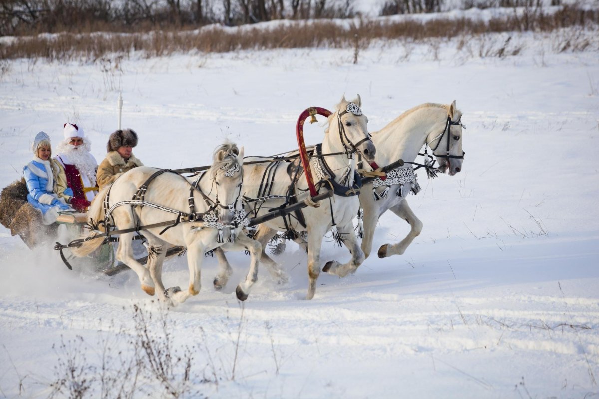Новогодние открытки с тройкой лошадей