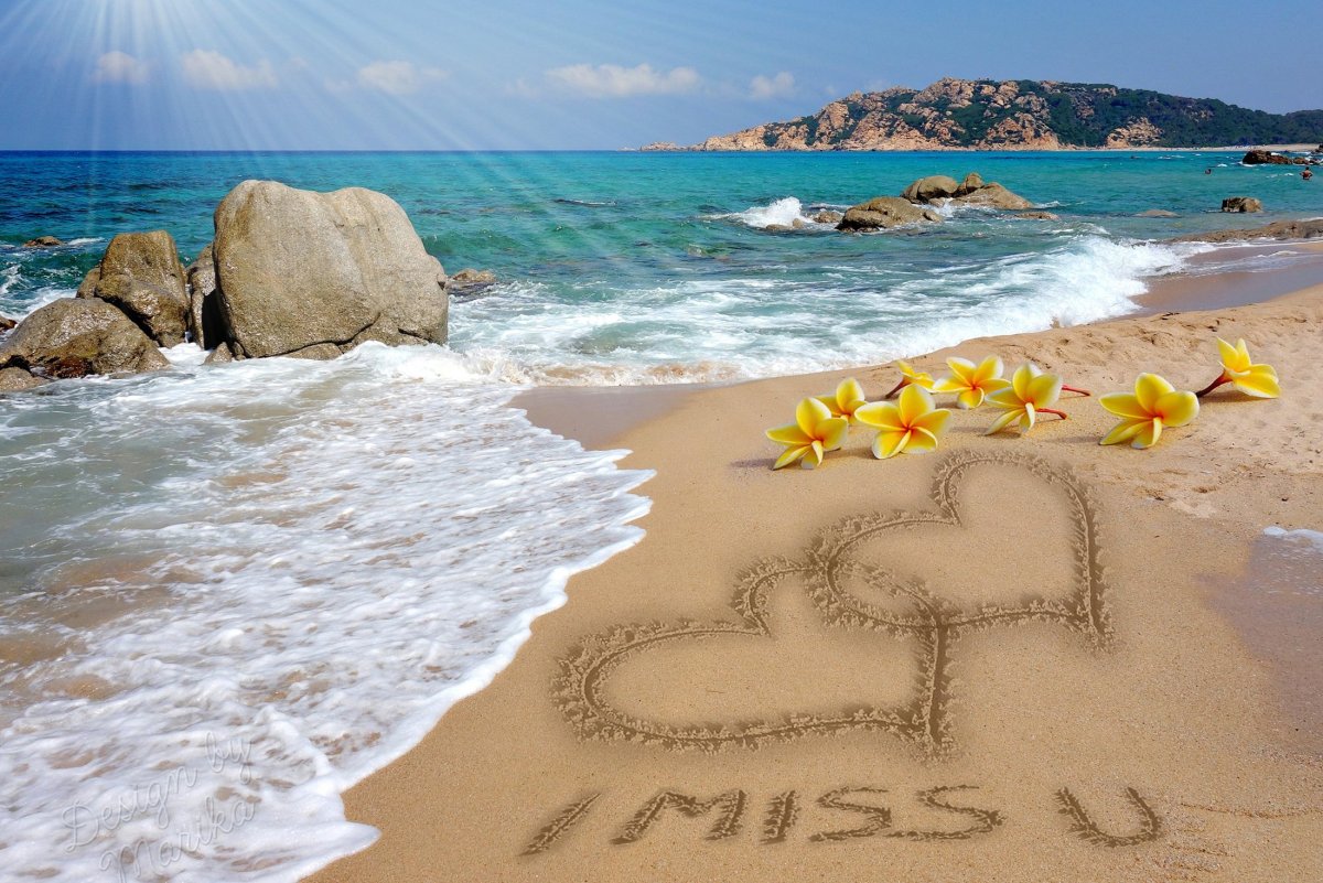 Утро лето море