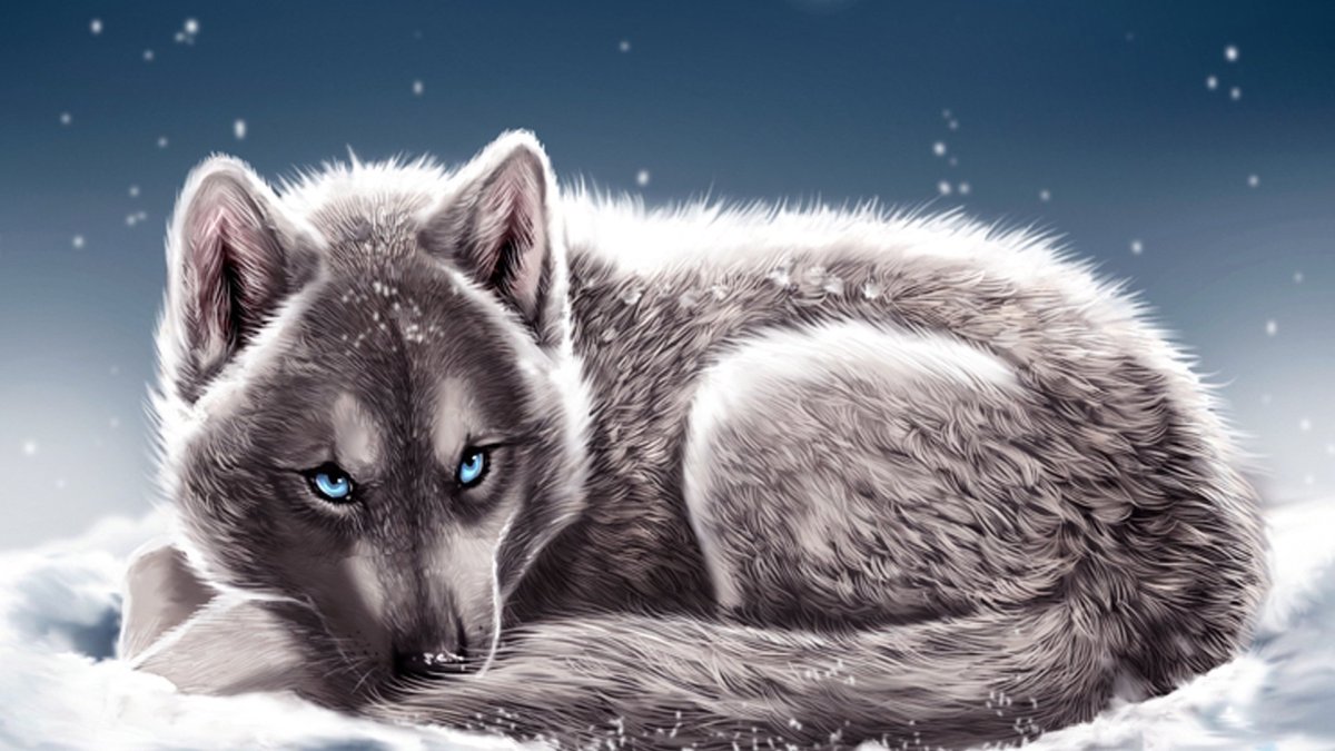 Волк с голубыми глазами фото