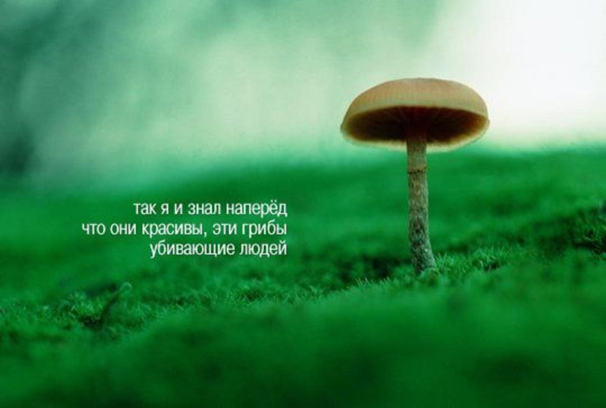 Смешные высказывания умных людей