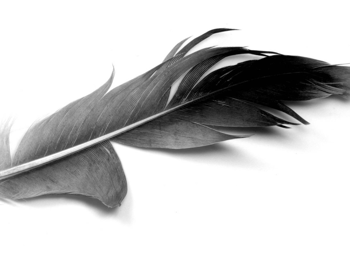 С перьями
