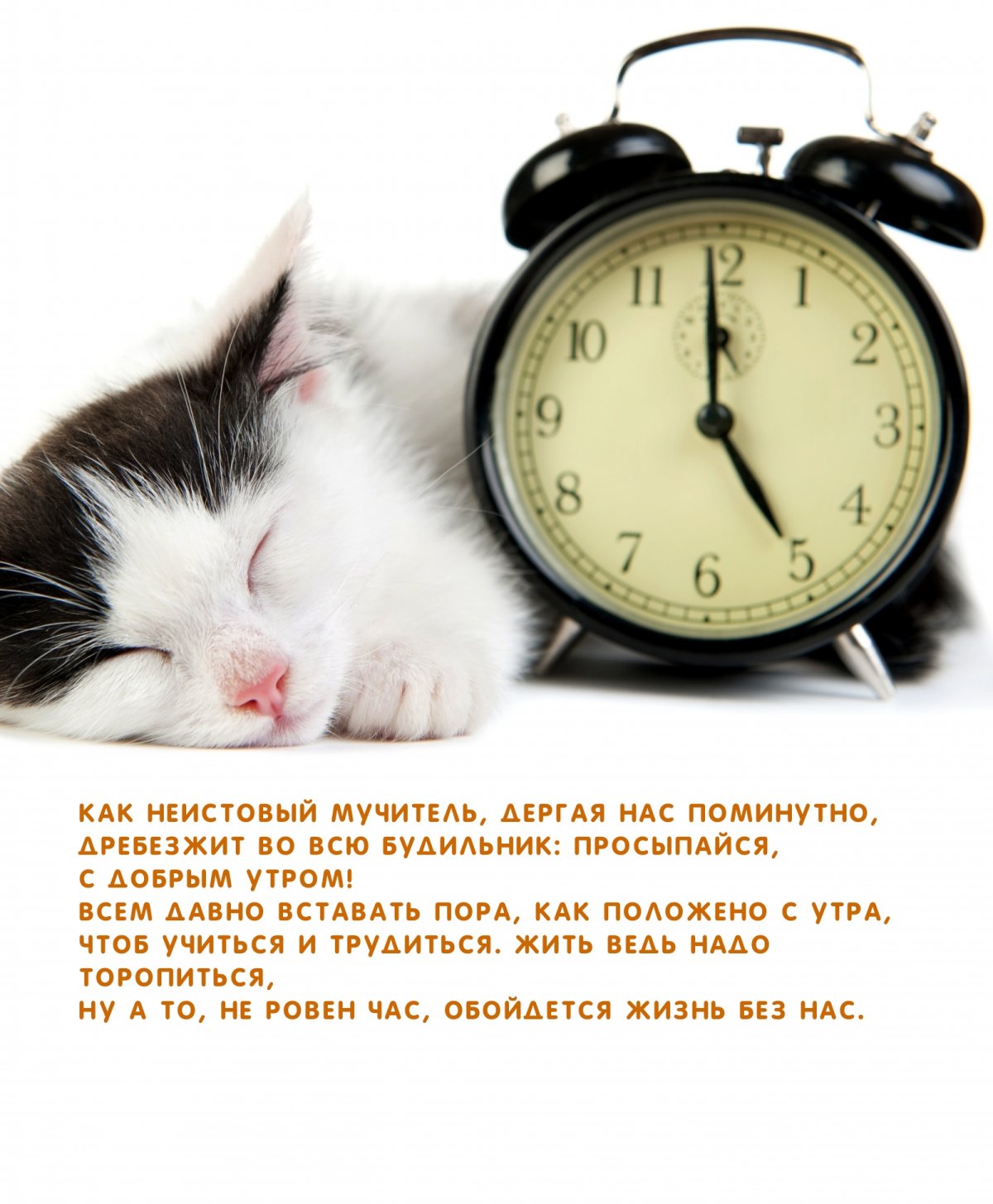 Будильник "котенок"