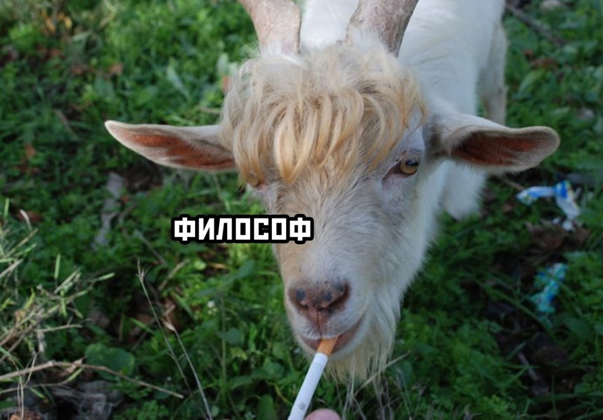 Толстый козёл