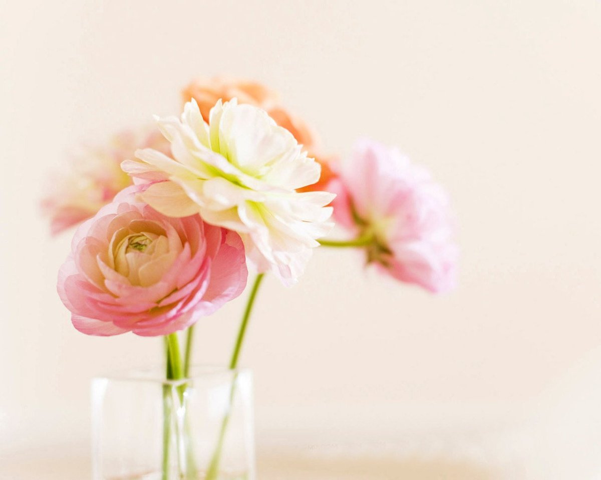 С днём рождения Наталья