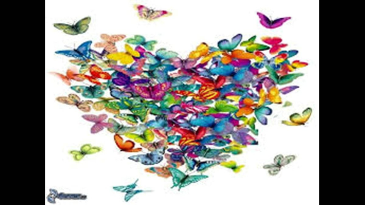 Бабочки в виде сердца