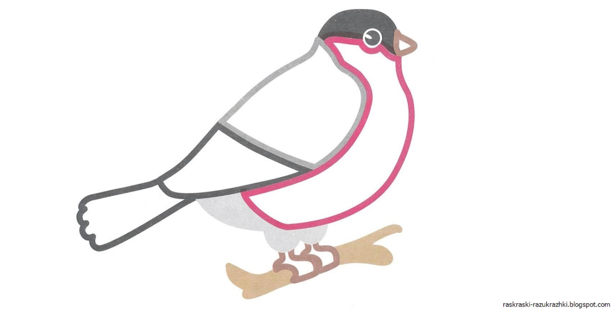 Снегирь на ветке раскраска