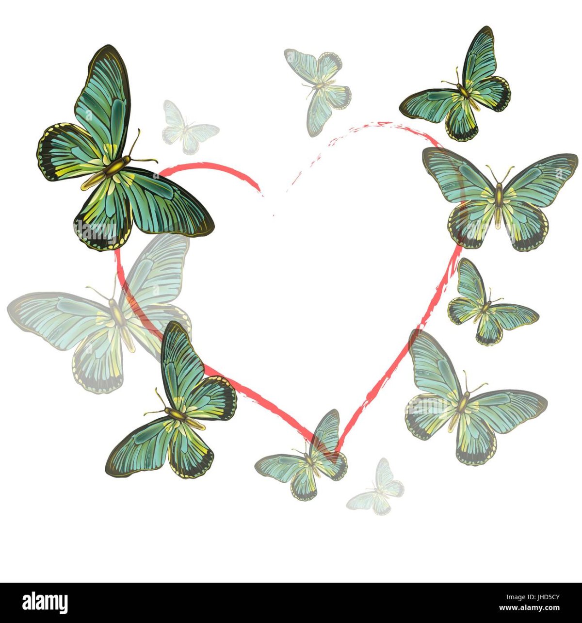 Сердечко из бабочек на белом фоне