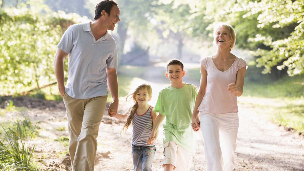 Семья лето идут