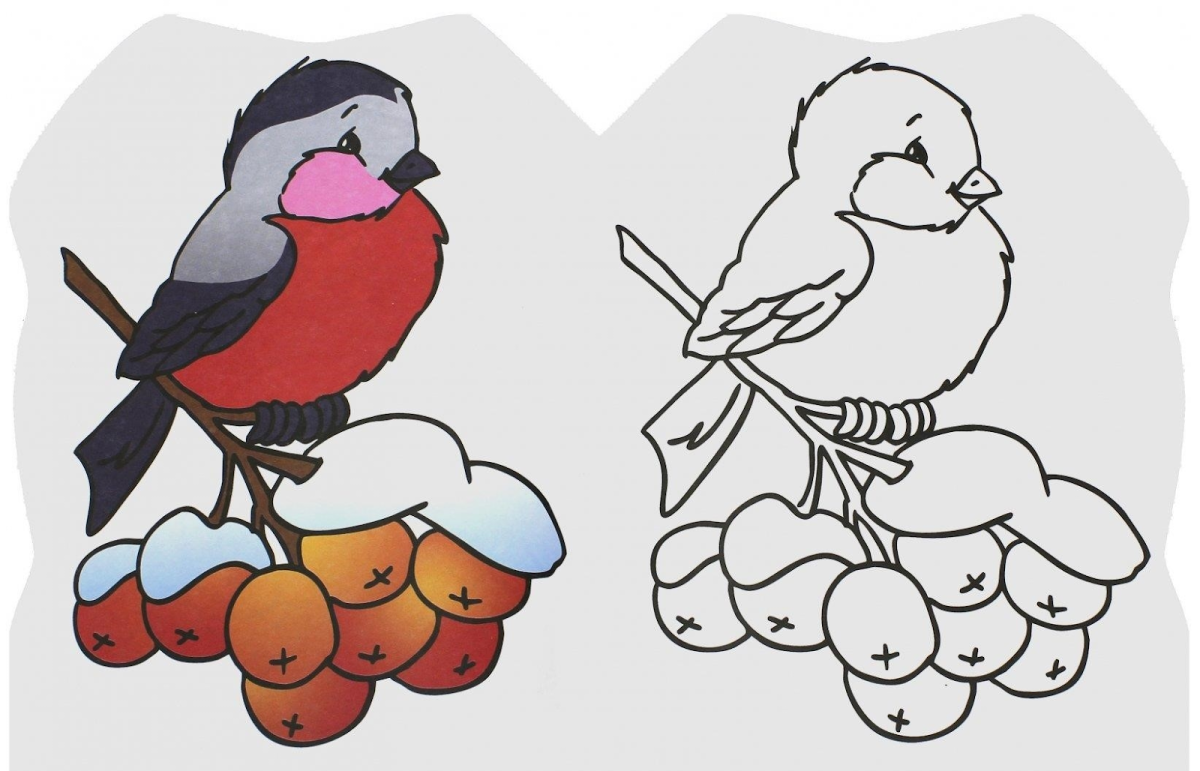 Снегирь раскраска