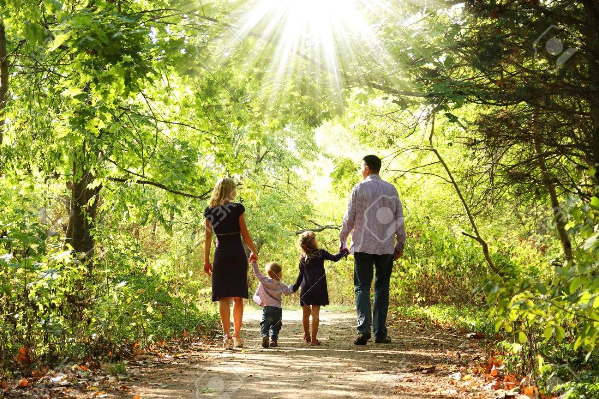 Картинка прогулка по лесу с семьёй от свидетелей