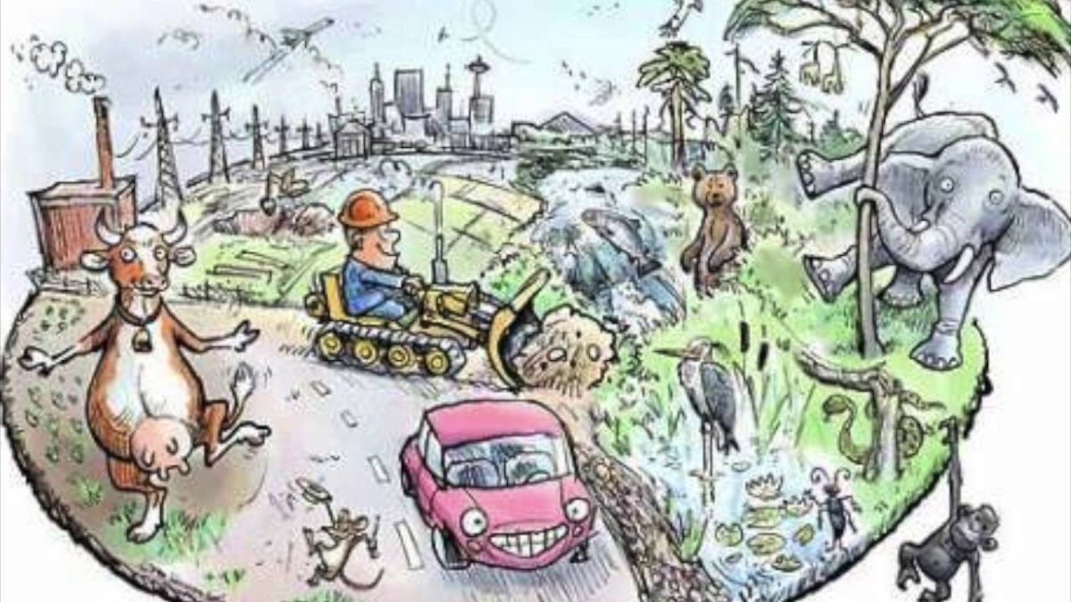 Экология карикатура