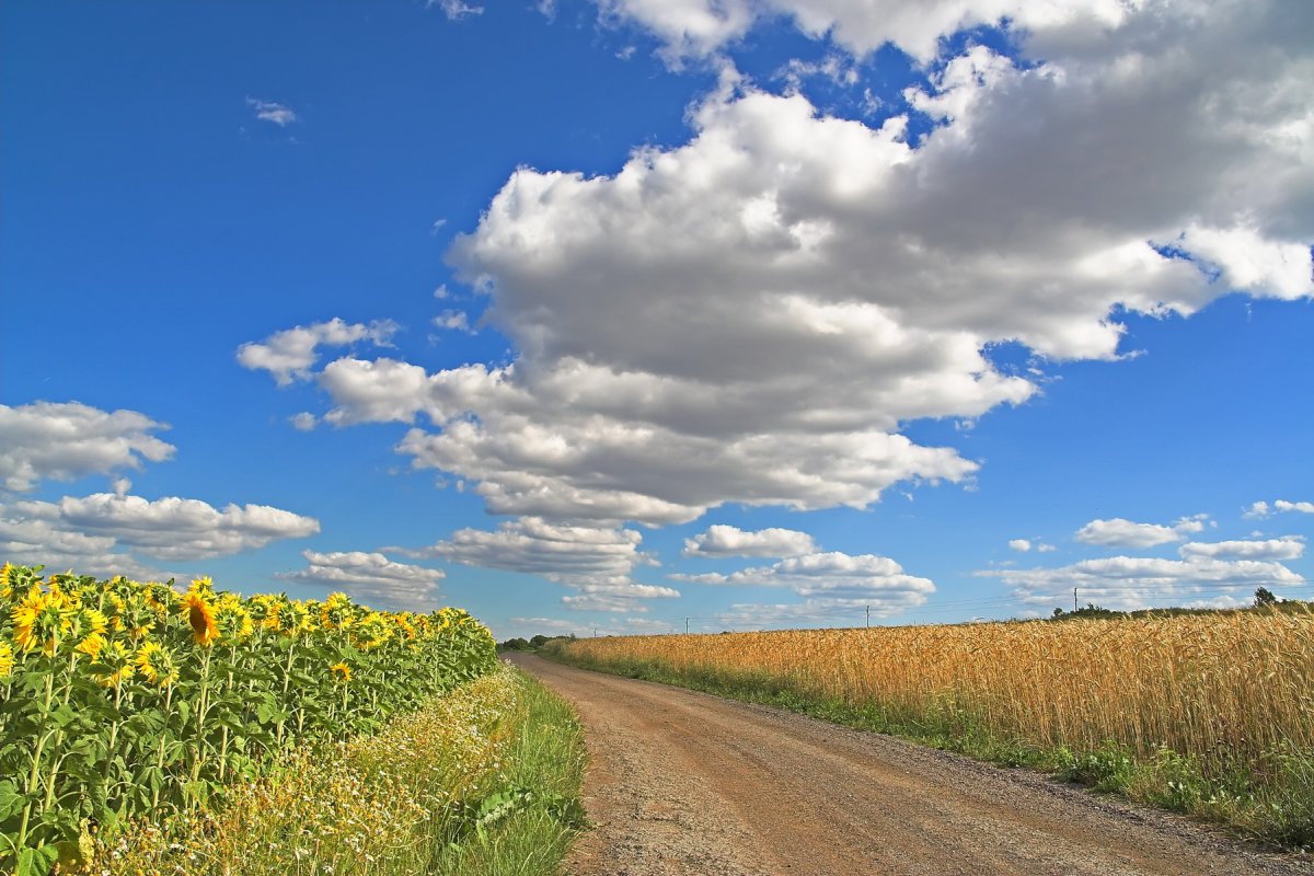 Фото о Светлом будущем