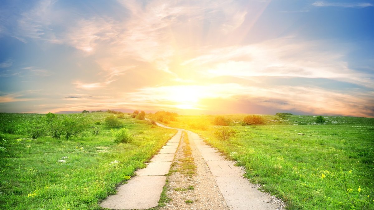 Солнечная дорога