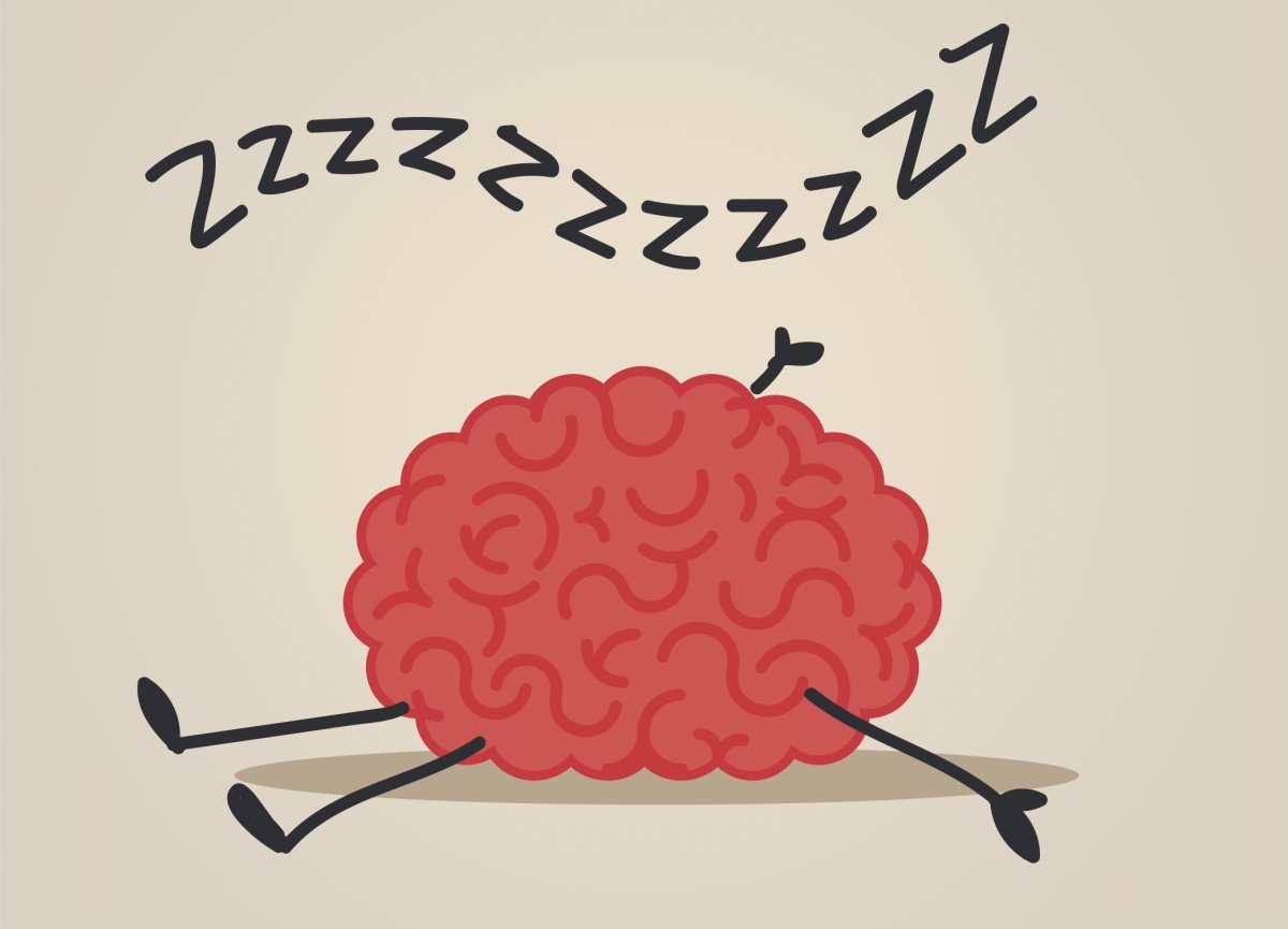 Спящий мозг иллюстрация