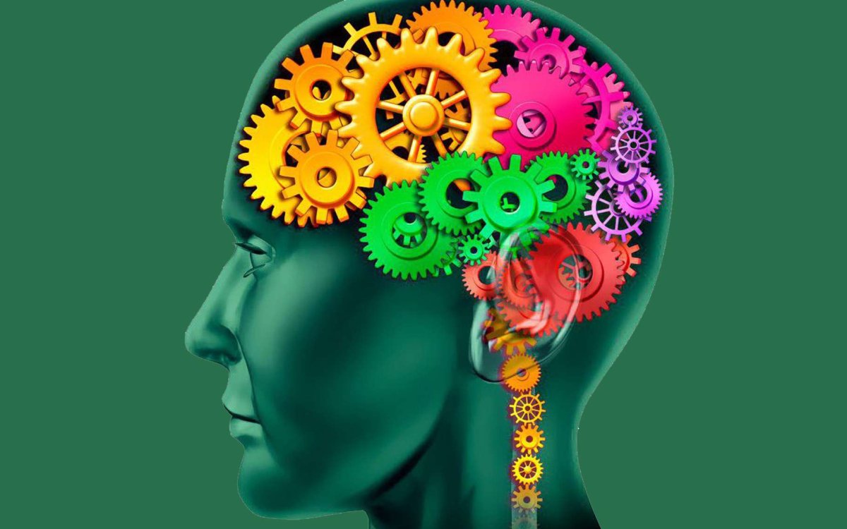 Полушария мозга рисунок