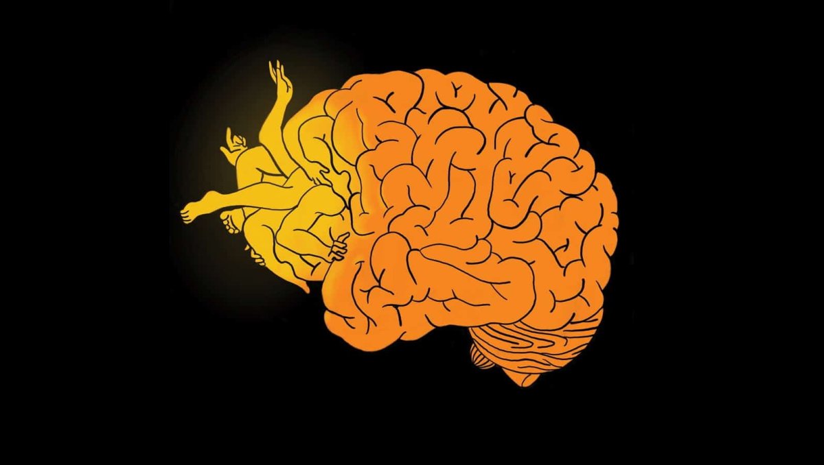 Мозг Минимализм