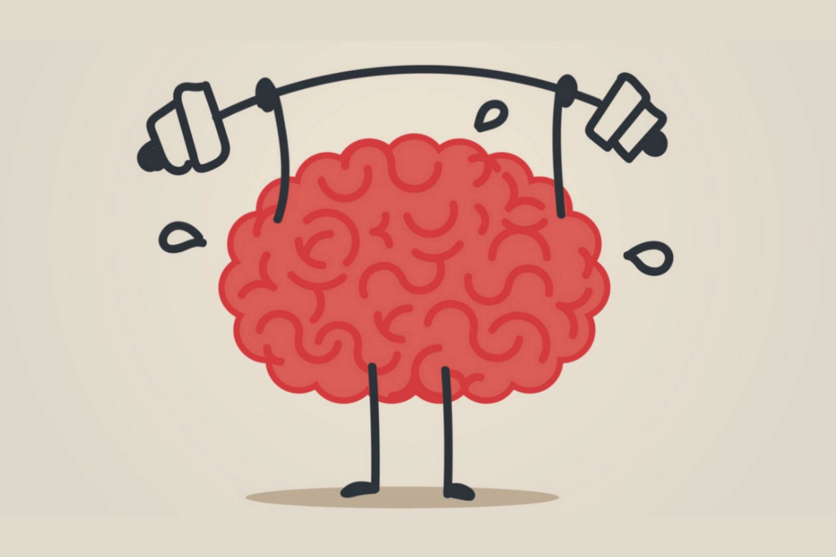 Картина мозга человека