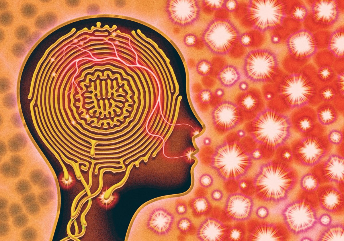 Цветок мозги