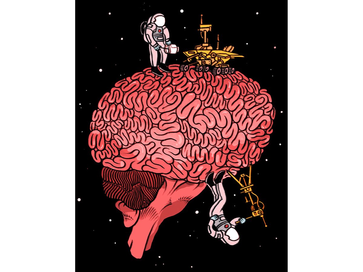 Цепи вознаграждения мозга