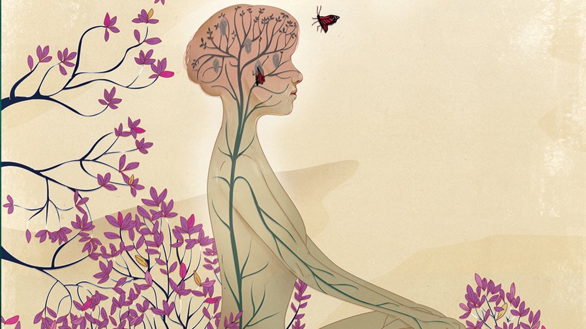 Межполушарная асимметрия мозга арт