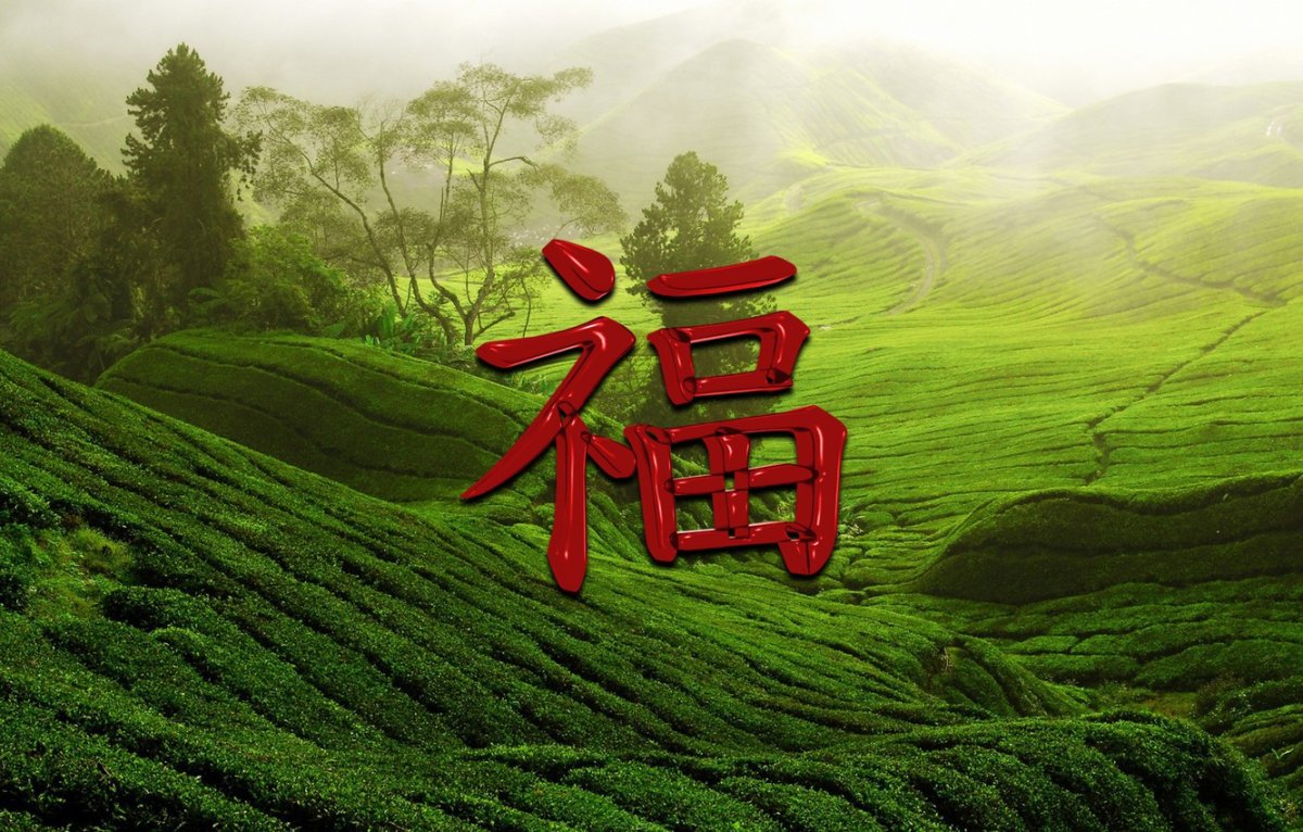 Трактография мозга