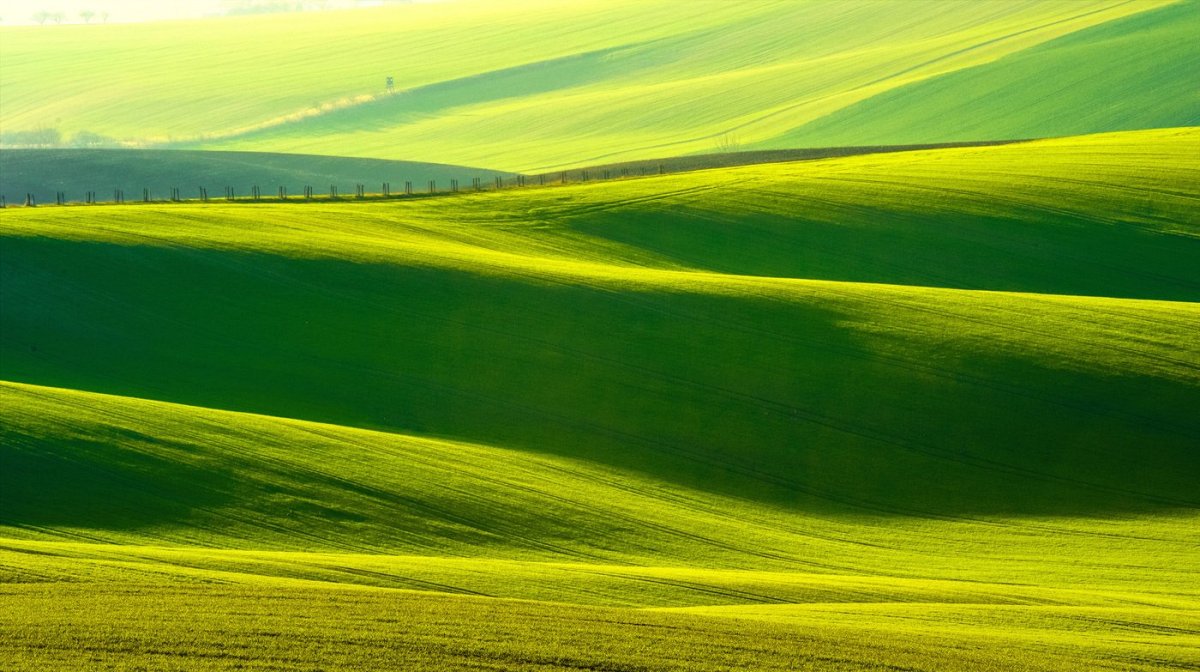 Обои на рабочий стол зеленые Луга