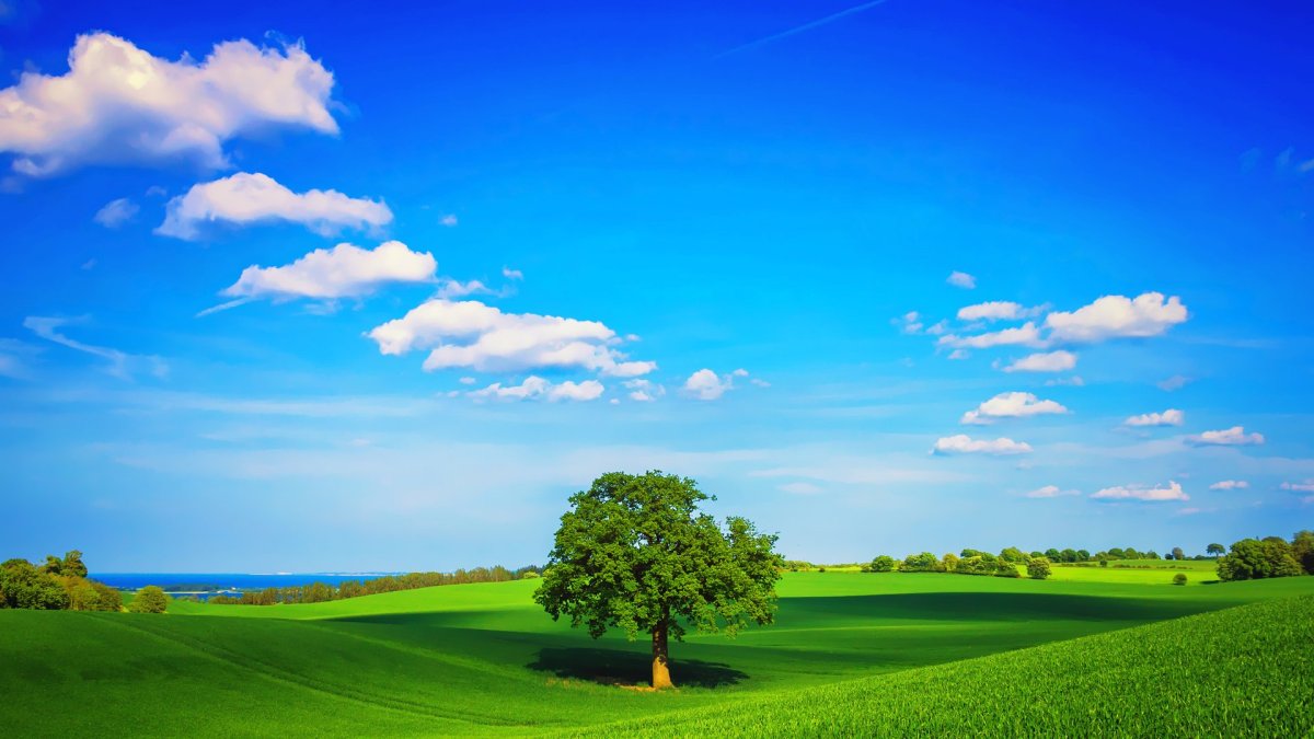 Жигулин о Родина