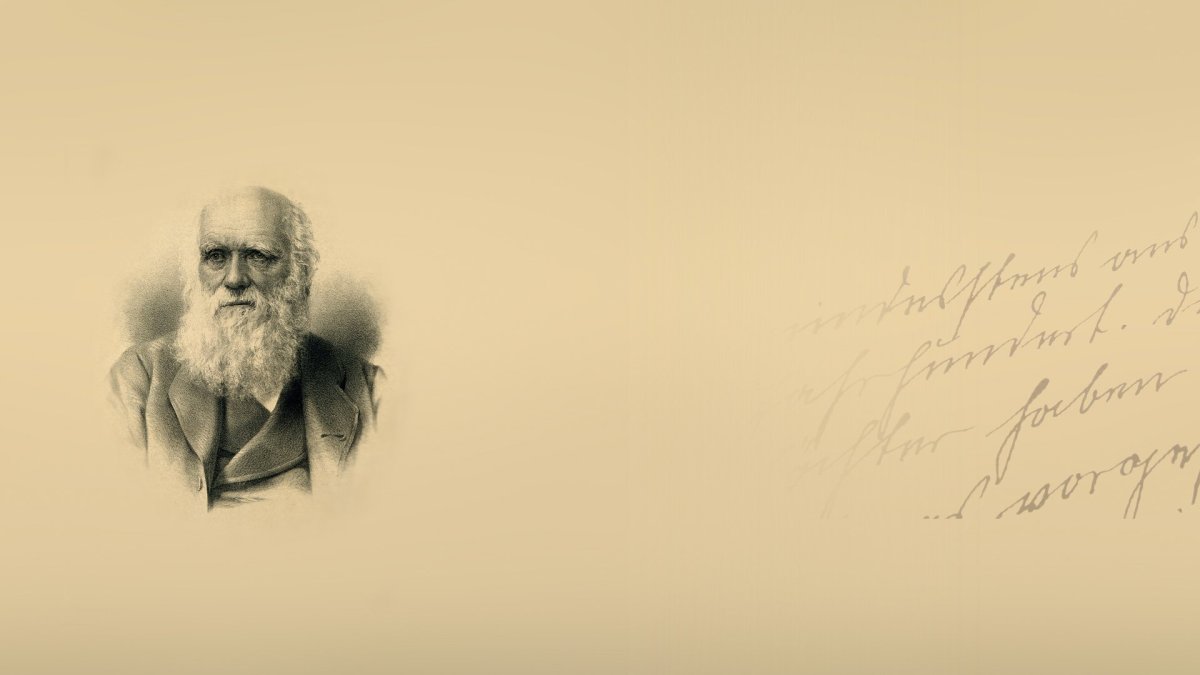 Дарвин Кларк