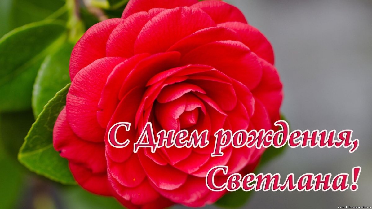 С днём рождения Надежда