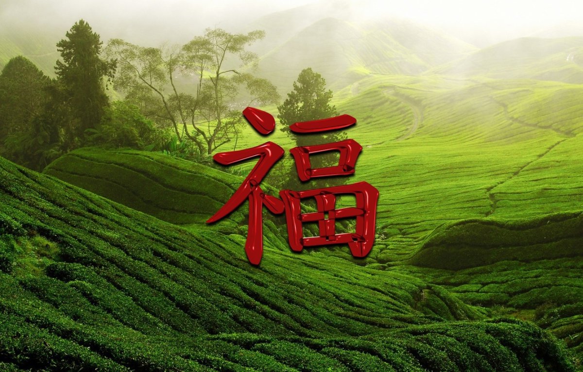 Иероглиф богатство