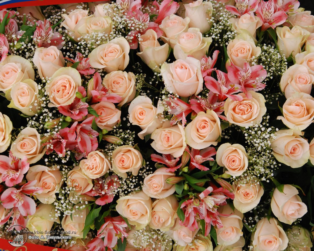 Букет тюльпанов