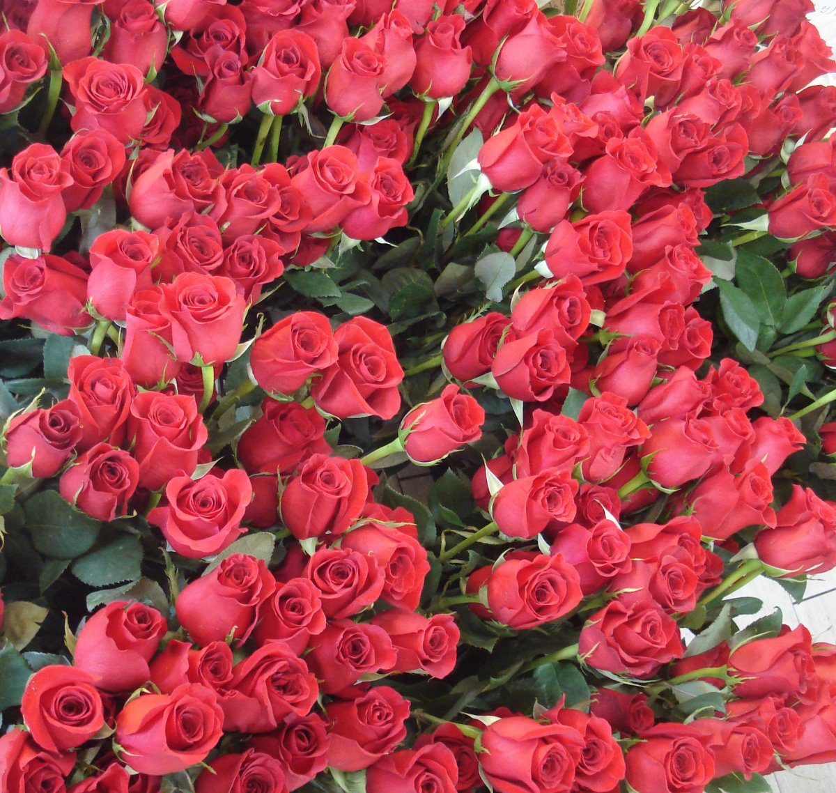 Композиция "цветы"