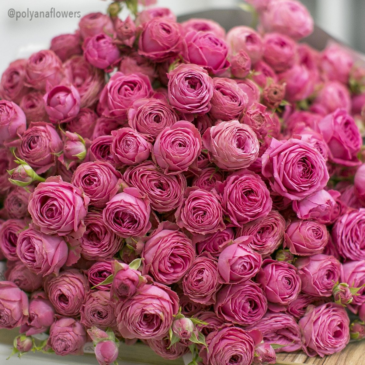 Розы охапка розовые