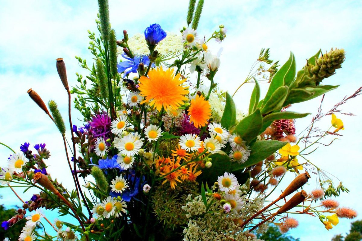 Шикарный букет пионов огромный