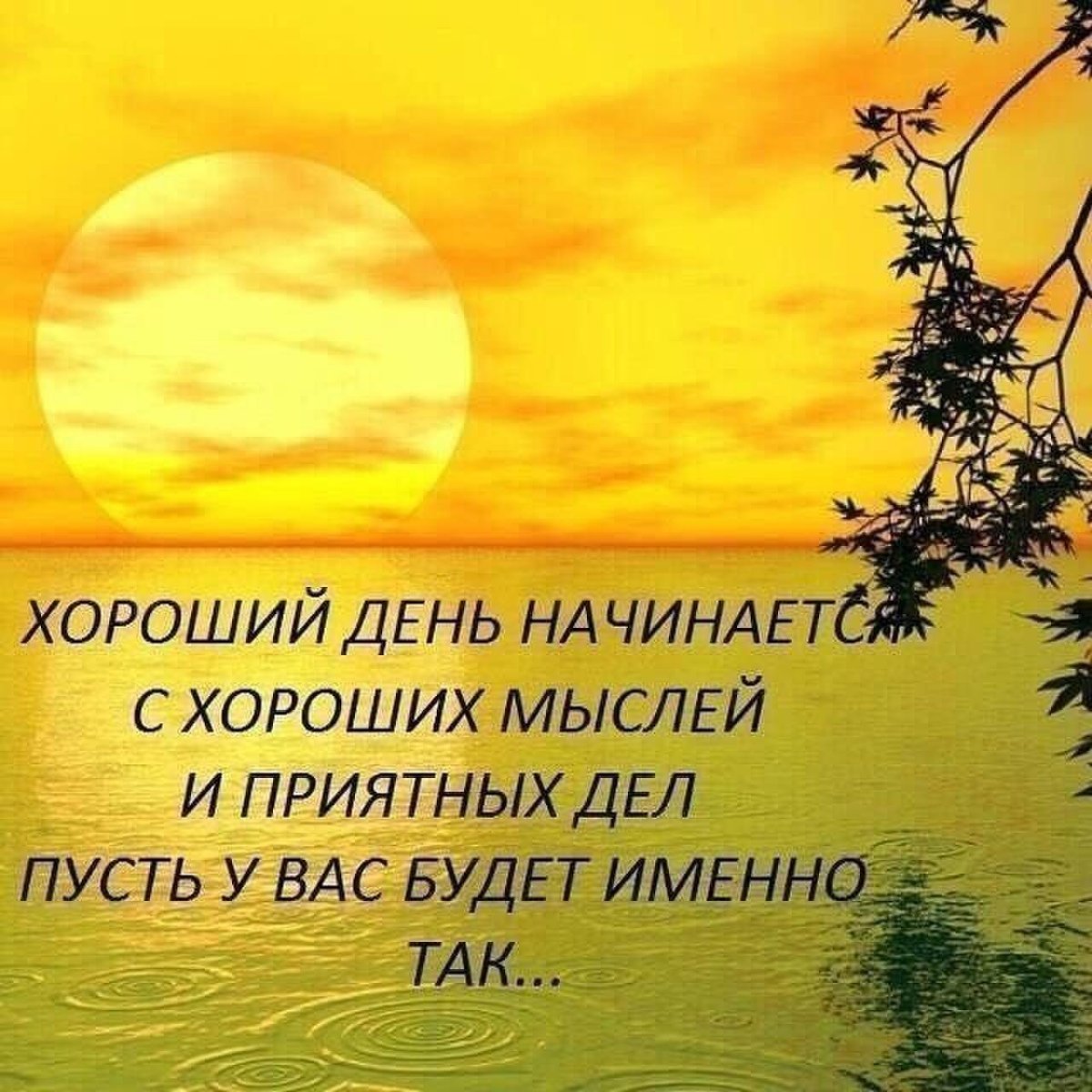 Хороших мыслей и приятных дел