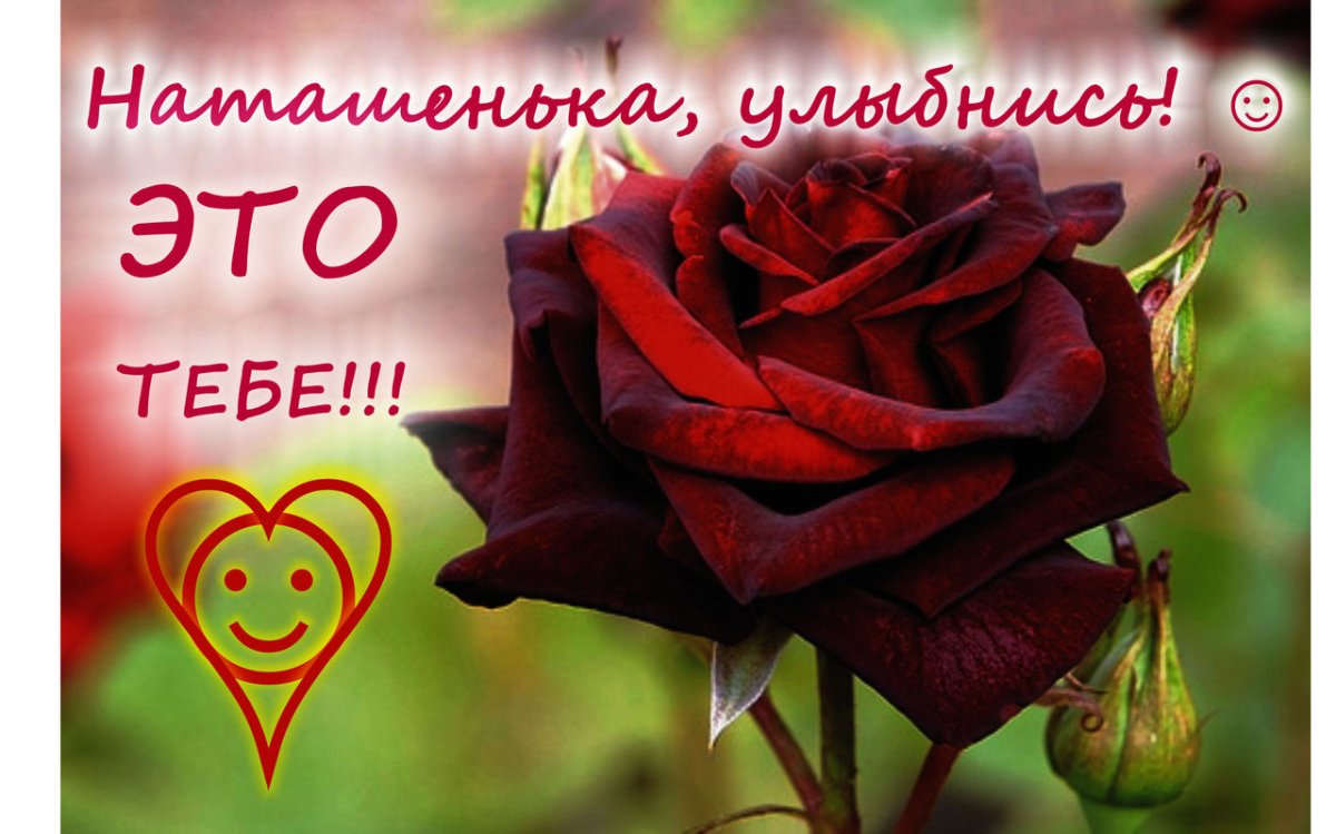 Стихи с днём рождения