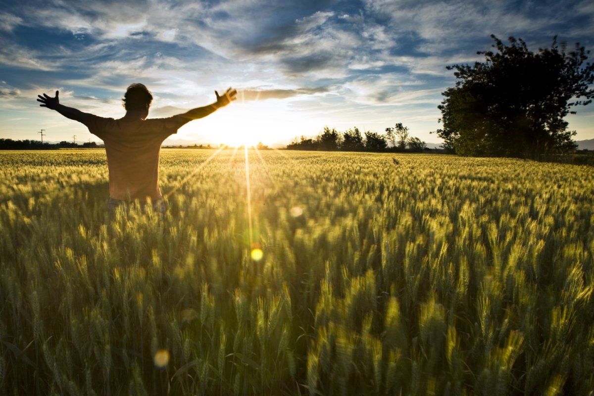 Борис Кольченко Аура волшебства