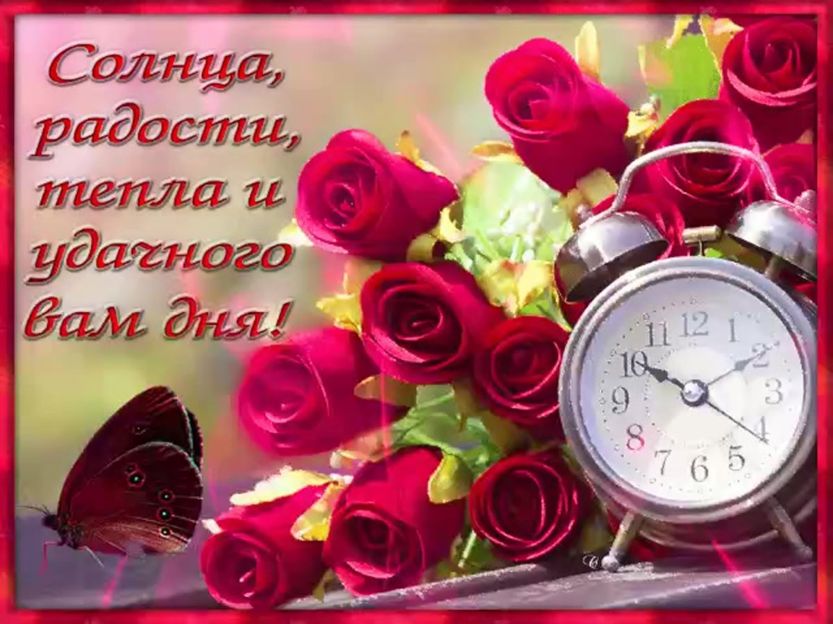 Хорошего вам дня