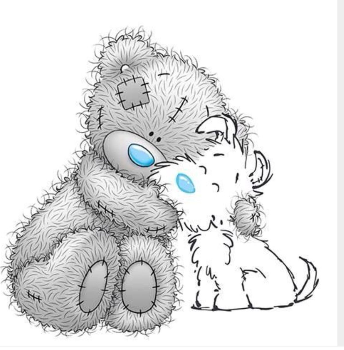 Мишки Тедди цветные