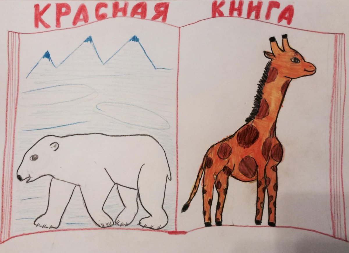 Животные из красной книги нарисовать