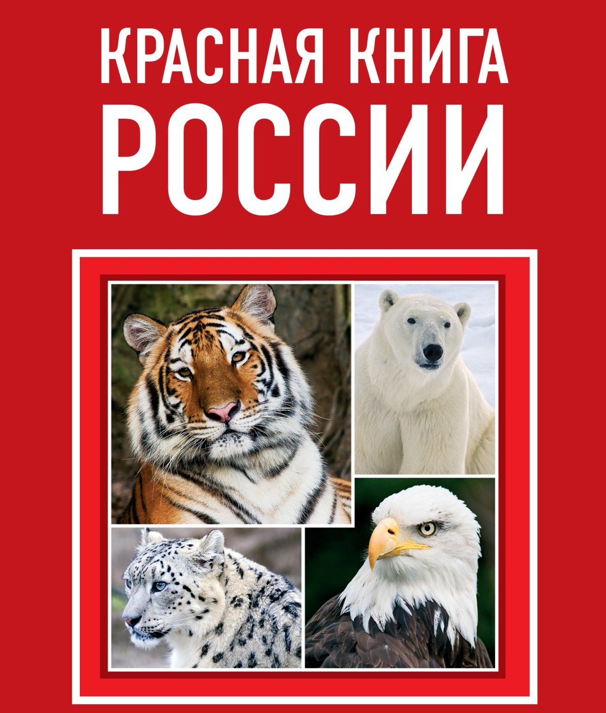 Оксана Скалдина красная книга России
