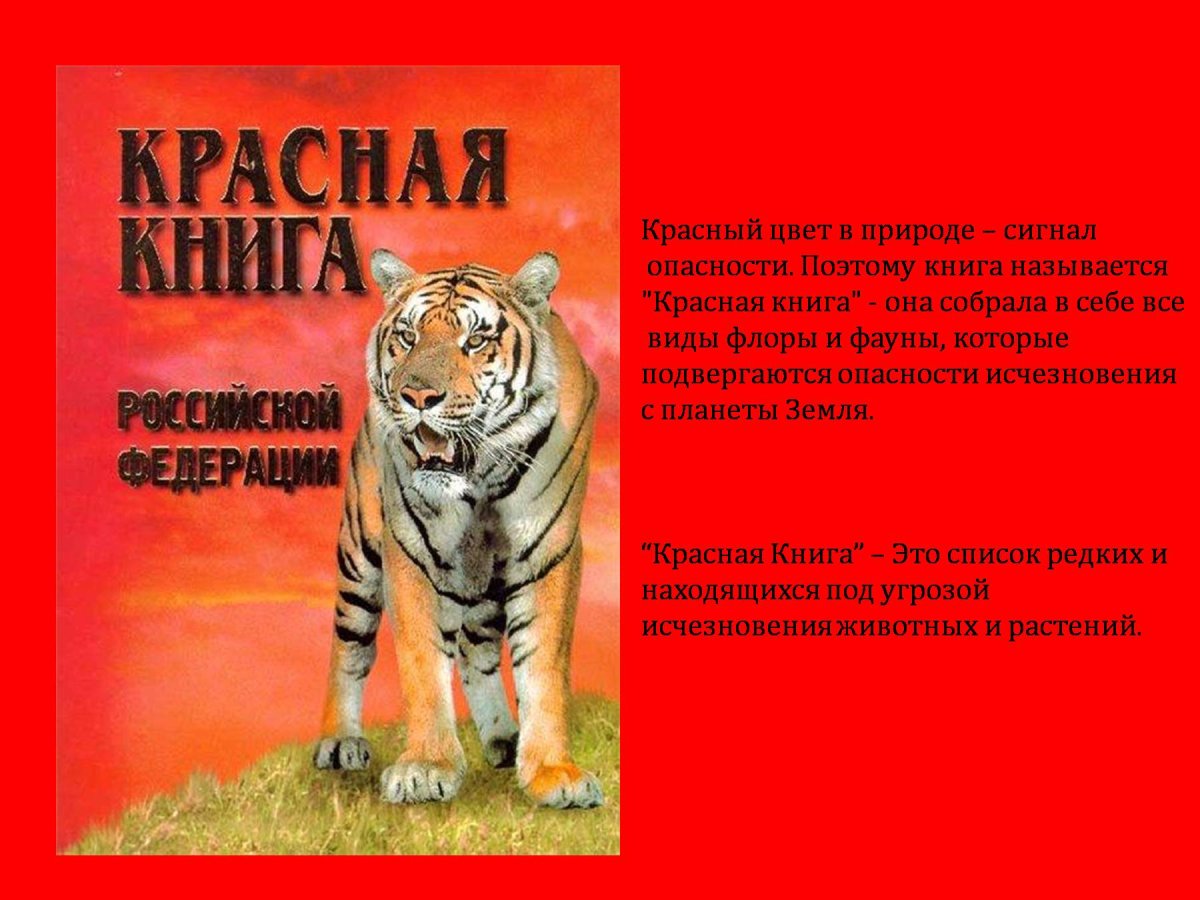 Слайды для презентации красная книга