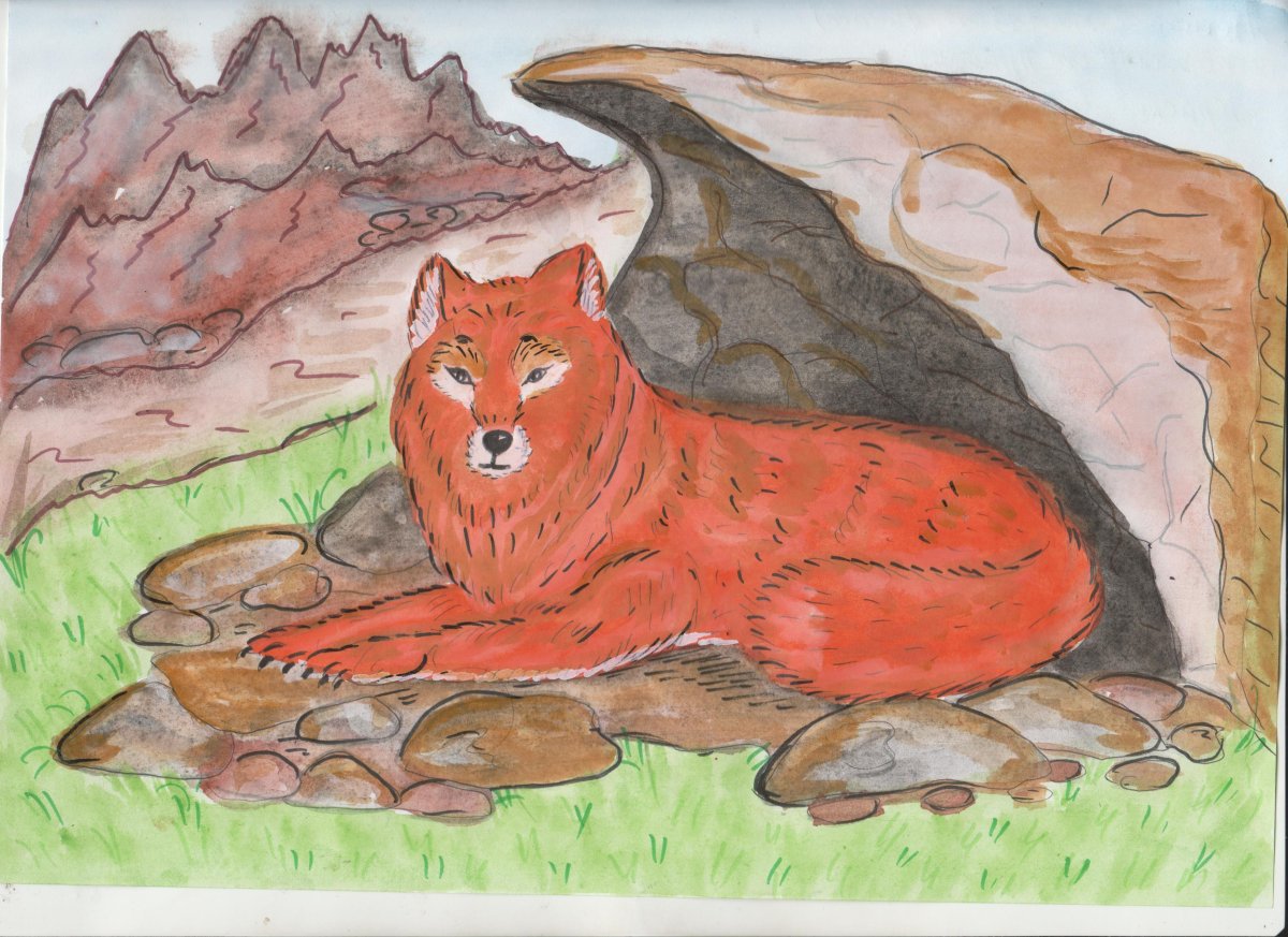 Изображение животных из красной книги