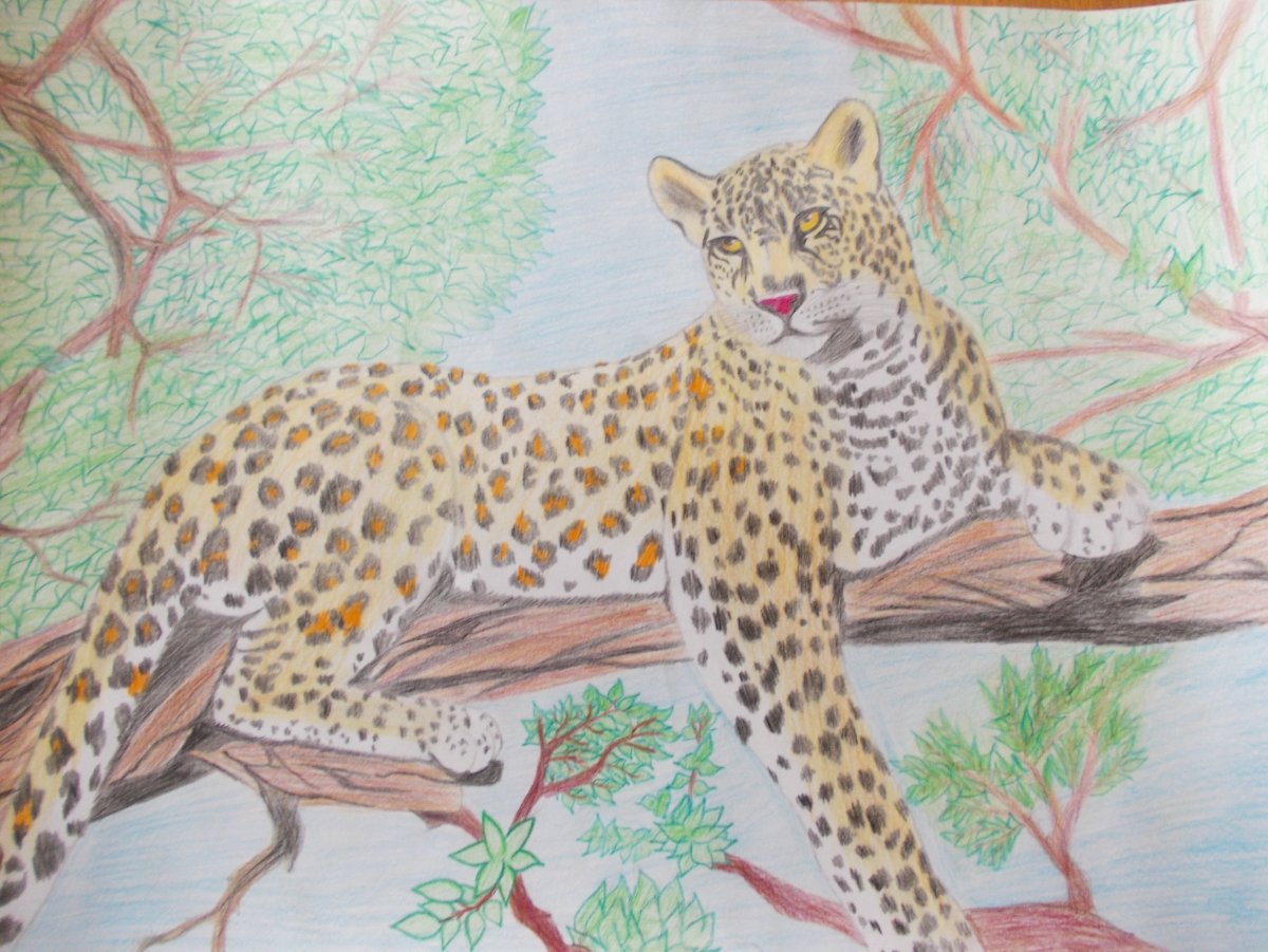 Маковеева Ирина ДАЛЬНОВОСТОЧНЫЙЛЕОПАРД