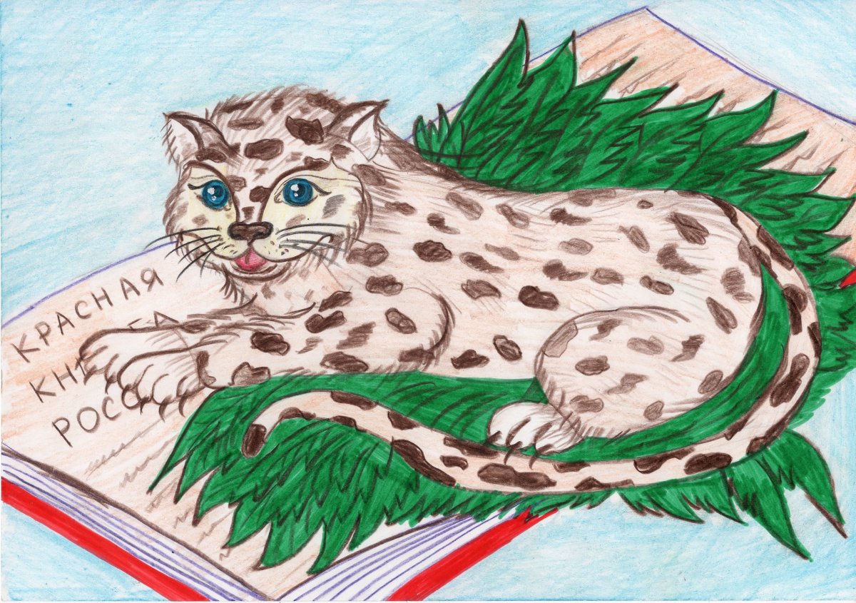 Красная книга рисунок